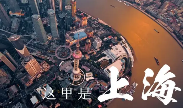 同城亲子露营爆火！上海哪里能搭帐篷 周末带娃去哪个森林公园烧烤划算全攻略🚀